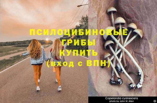 ешки Балабаново
