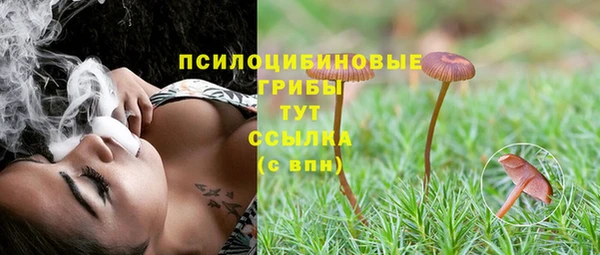 мескалин Баксан