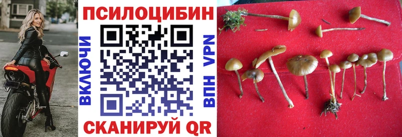 как найти закладки Давлеканово hydra ONION Псилоцибиновые грибы Cubensis